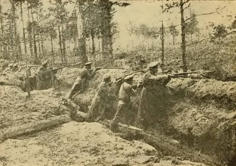 D ' baltescher Front vum Éischte Weltkrich. D ' Operatioun 1917