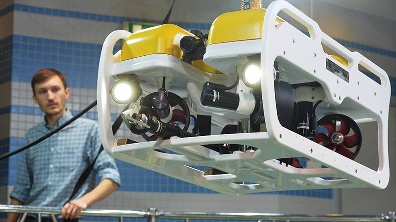 On the future of underwater robotics