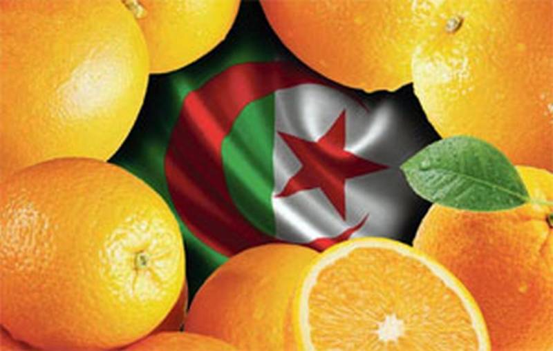 Oranges put pressure on the government