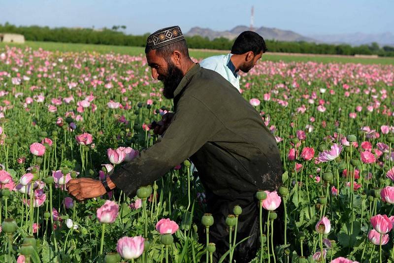 Of the IG group started to receive the proceeds from Afghan drug trafficking