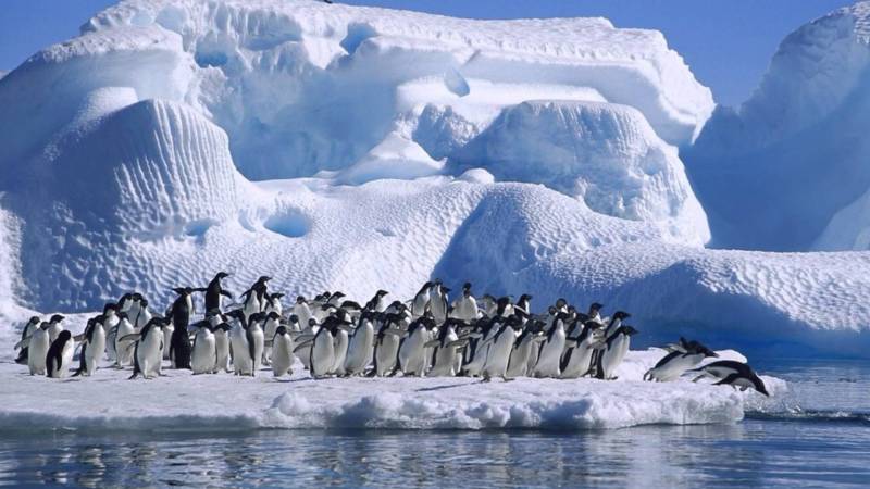 La chine envisage de construire un aérodrome en Antarctique