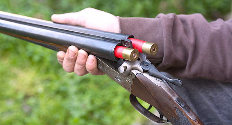 An alternative to the blunderbuss in Russia