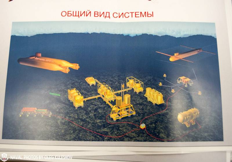 The project of a submarine-does seismic exploration looks complex 