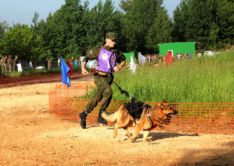 У ВВО завершилися відбіркові змагання конкурсу «Вірний друг»