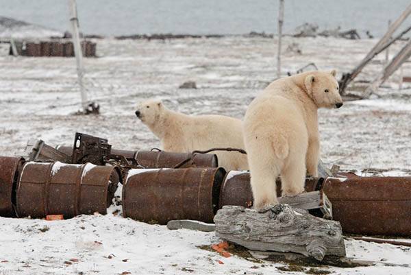 L'arctique est nettoyé des débris