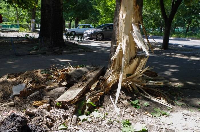 Donetsk Chronicles til den uge 5-11 August fra bogført ved 
