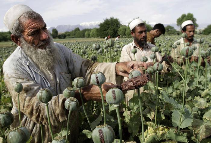 Syrie: Antidrogue de la société AMÉRICAINE en Afghanistan est un échec