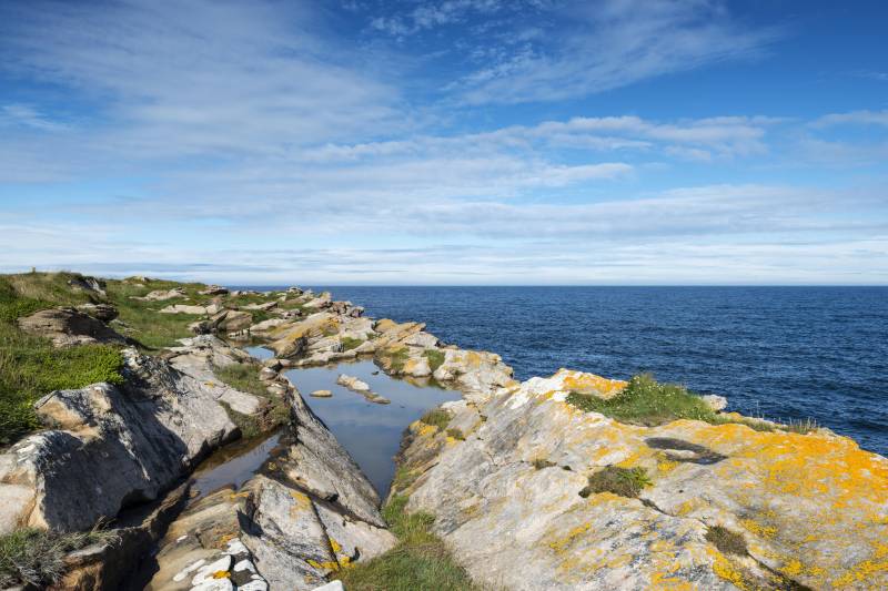 D 'britesch Arméi d' Verdeedegung am Norde vu Schottland