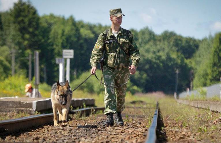 OSCE observers complained the Ukrainian border guards who pulled the dogs on them