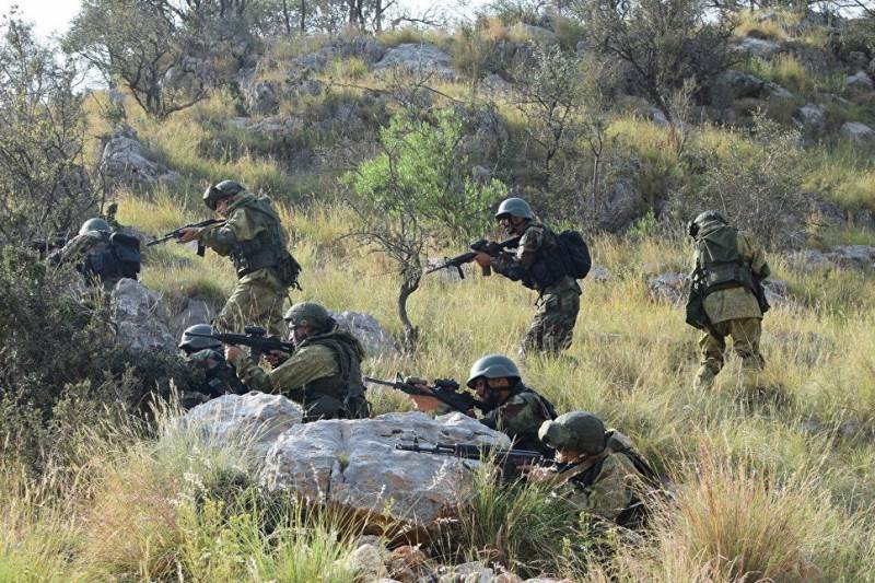 Det Pakistanske militær på 
