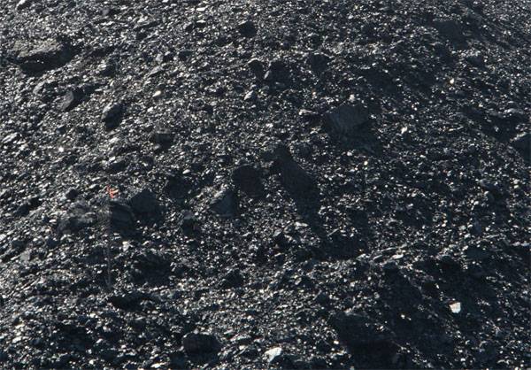 Poland has recognized the purchase of coal in the LC