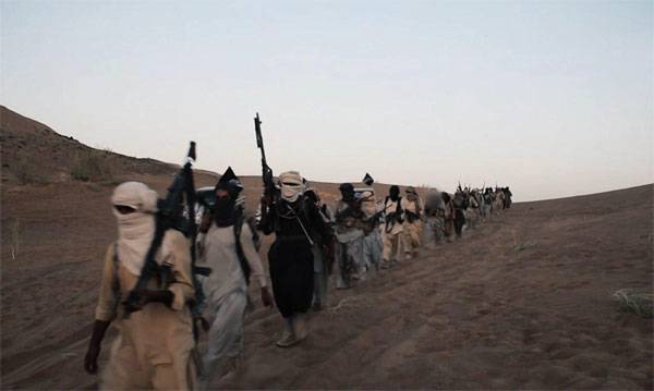 وسائل الإعلام: في سوريا ، والقضاء على 