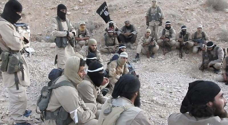 The number of American mercenaries pseudo-Caliphate was exaggerated