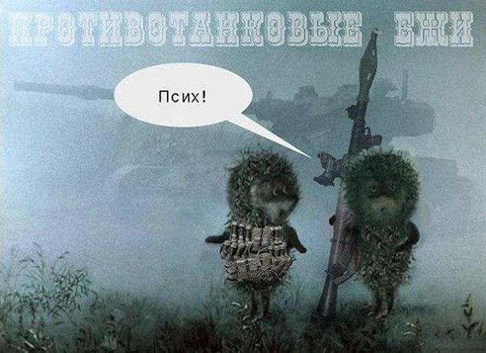 Вожык у тумане. Постмайданная версія