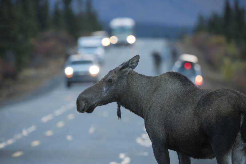 Alaskans rekommenderas att förbereda sig för en kärnvapenattack