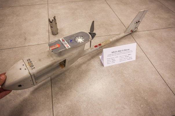КЕТПЕЙДІ қағылды американдық ДАЙЫНДАДЫ Raven