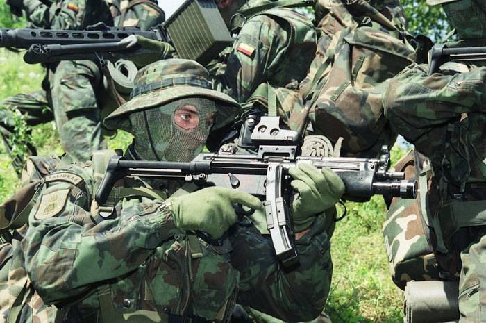 Latvia, Lithuania and Estonia decided to fight with ISIS*