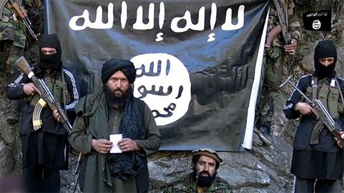 Afghanistan har uppskattat antalet aktivister i landet