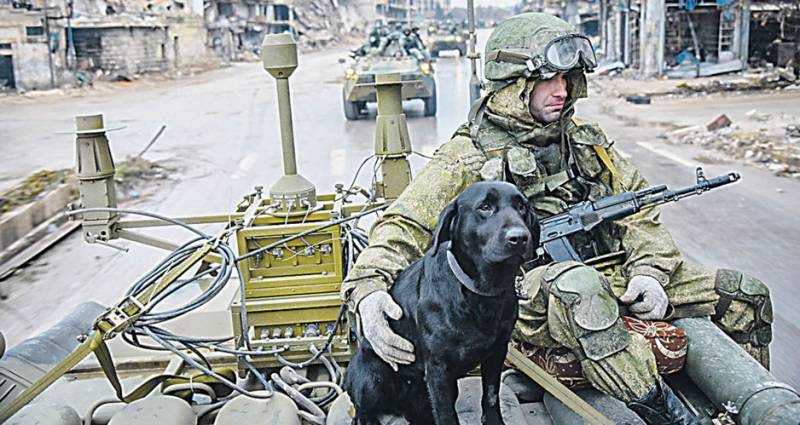 An enger eenzeger маскировочной Faarwen