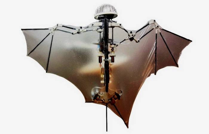Pentagon planuje utworzyć dron w kształcie nietoperza