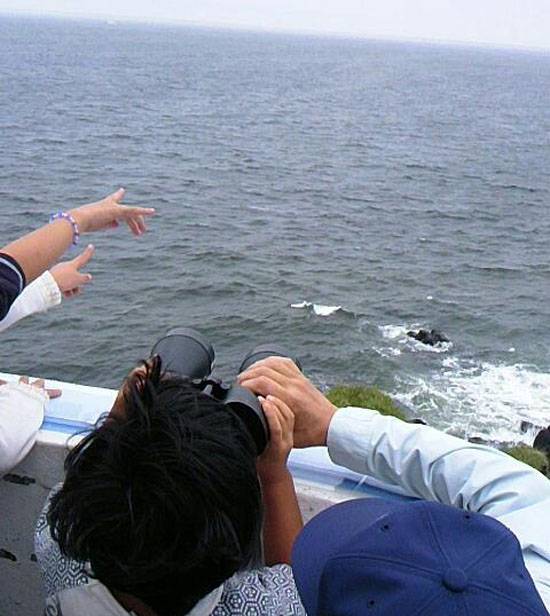 Am Ausseministère vun der Russescher Federatioun erkläert iwwer d 'Fortschrëtter an der Fro vun der kollektiver Wirtschaftsführung mat Japan d' Kurilen
