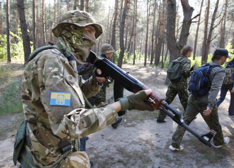 The expert spoke about the possible role of Ukrainian forces in the war between NATO and Russia