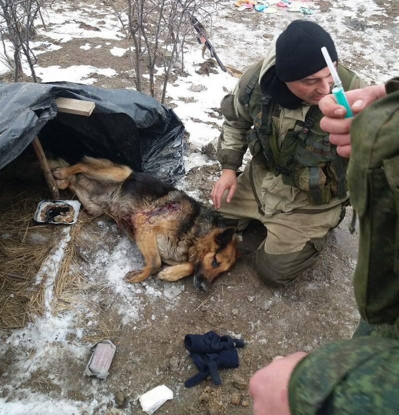 Eine Zusammenfassung über die Ereignisse in DNR und LNR für die Woche 23. Februar - 2. März von военкора 