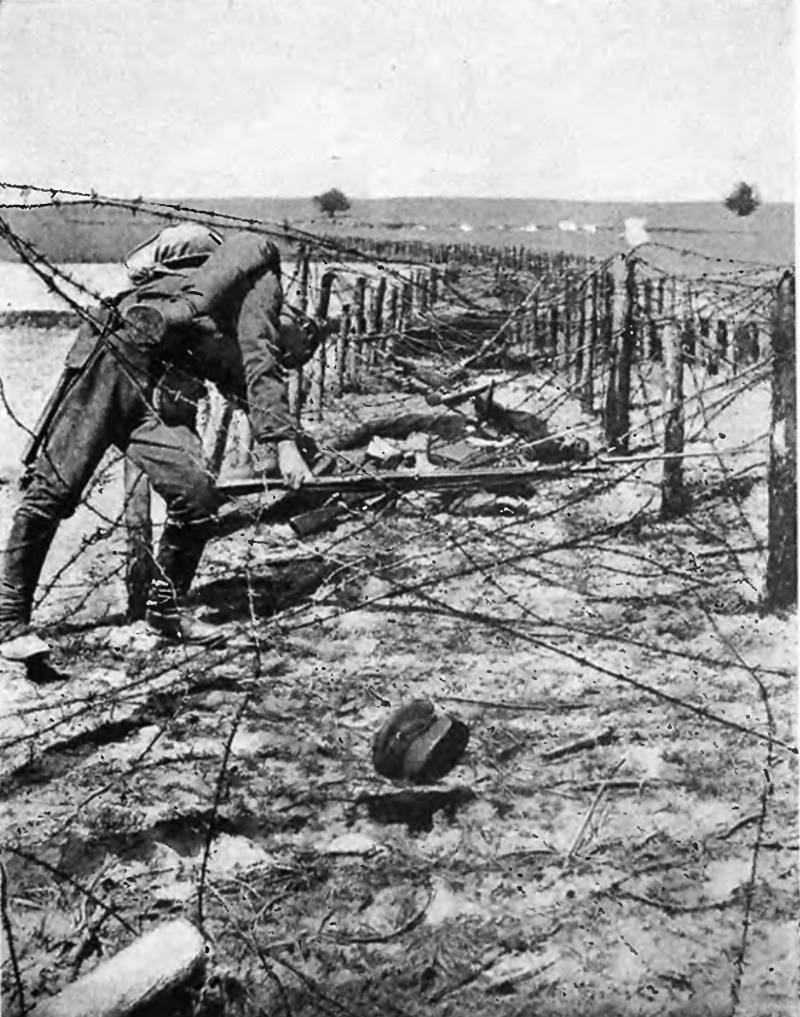 In the wilds of barbed wire. Part 2