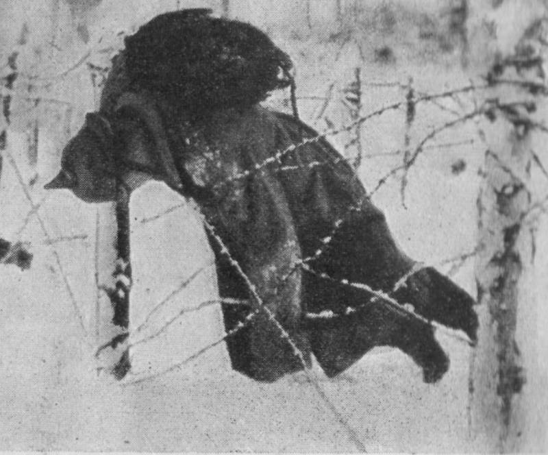 In the wilds of barbed wire. Part 3