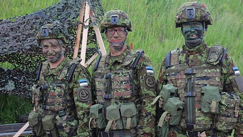 Можемо протистояти будь-якій загрозі. Міністр оборони Естонії відвідав вчення 