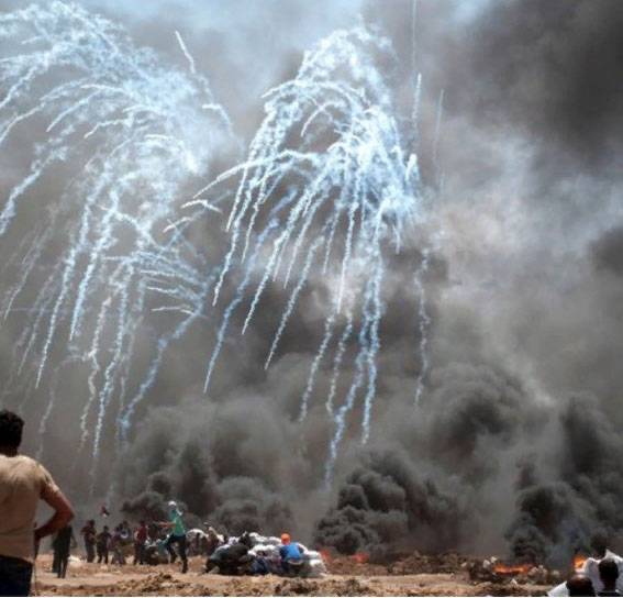 About the tragedy in Gaza. You see ordinary Palestinians and Israelis are each other's enemy?
