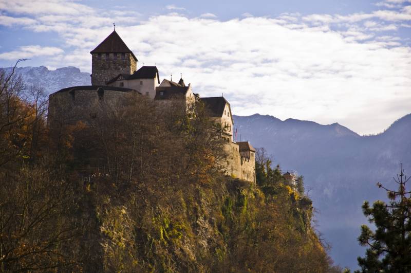 The Army Of Liechtenstein. Bouquet of dandelions with a smell of Nazism