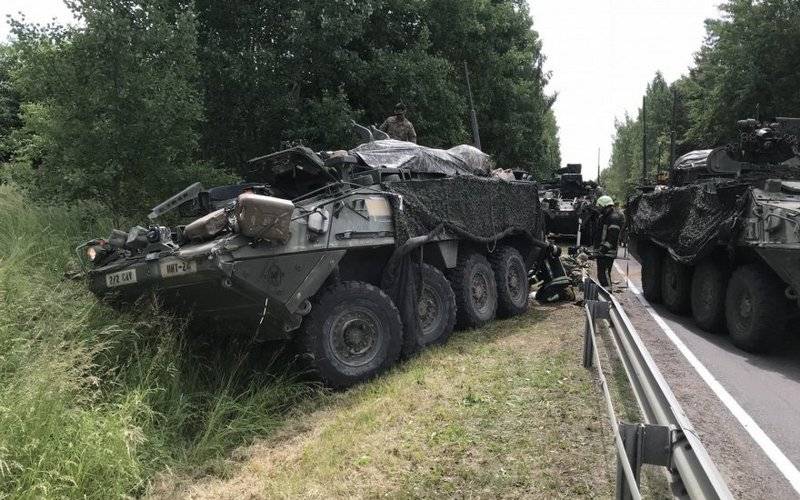 It's not for the desert drive! The American Stryker armored personnel carriers continue to RAM trees