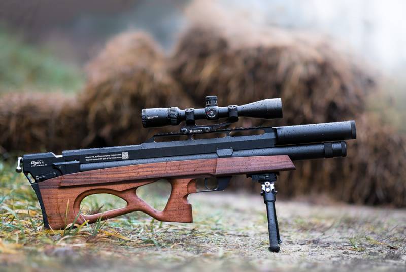Civila vapen i Ryssland. Del 6. Pneumatik: leksaker eller vapen?