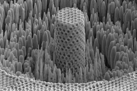 Les scientifiques américains ont créé un 
