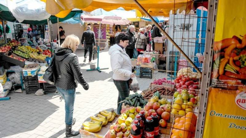 The government Pushilin masters the Empire Timofeeva