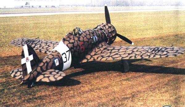 Kampfly. 