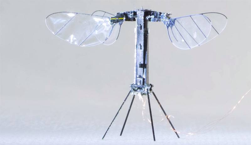 In the United States showed the drone