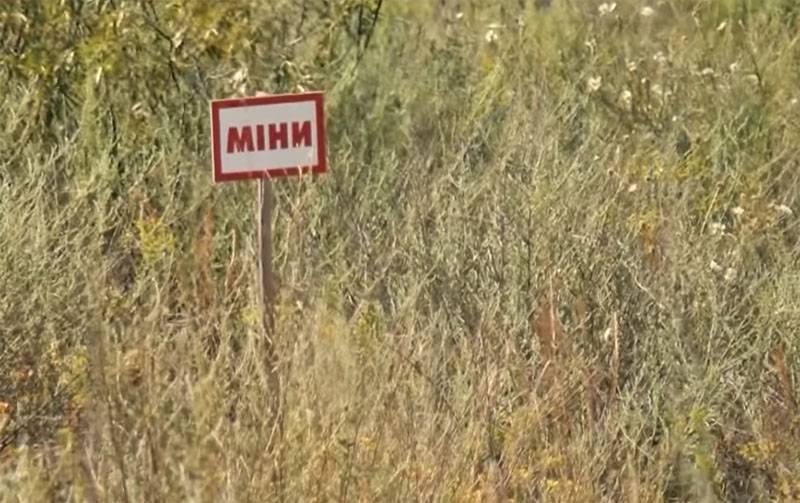 Мінская група дасягнула важных дамоўленасцяў па Данбасу