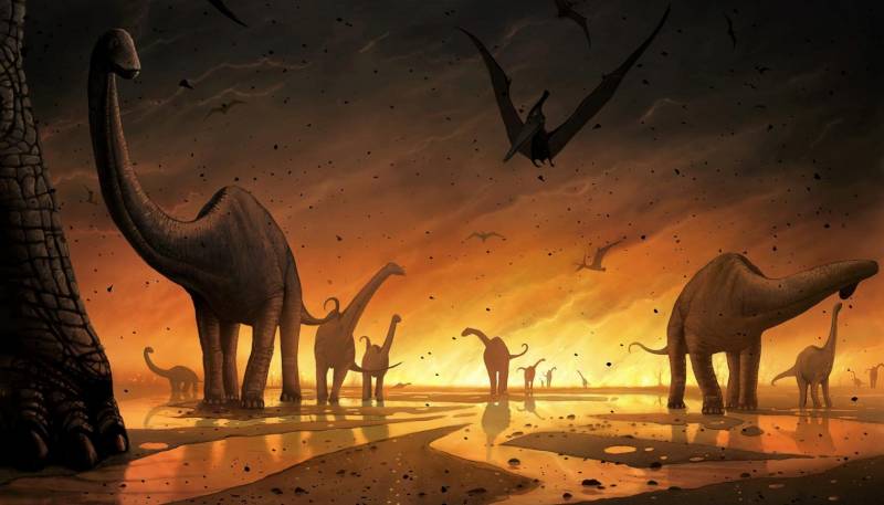 Dear dinosaurs. Die out or adapt?