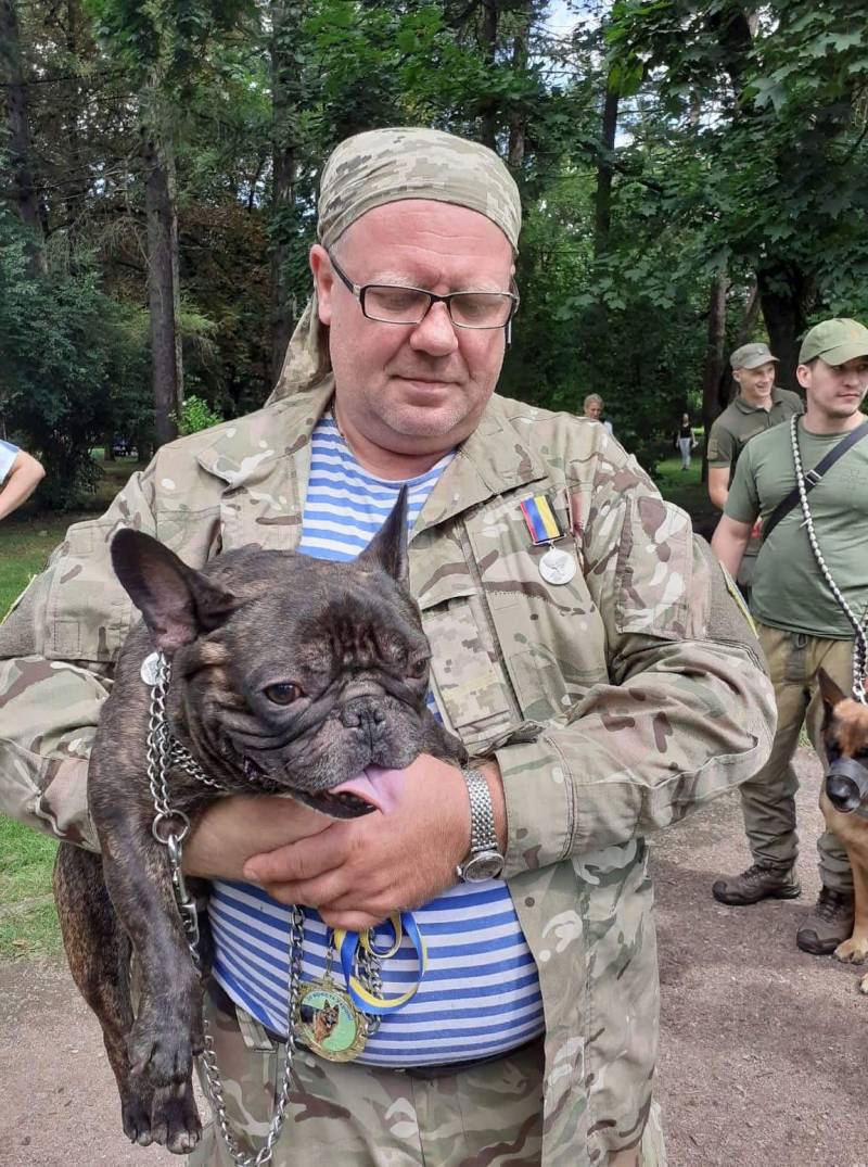 In Lviv, the dogs were awarded medals 