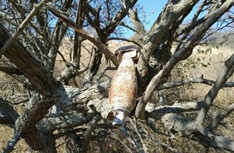 An der Krim entdeckt déi Däitsch авиабомбу Weltkrich, hänken op dem Bam