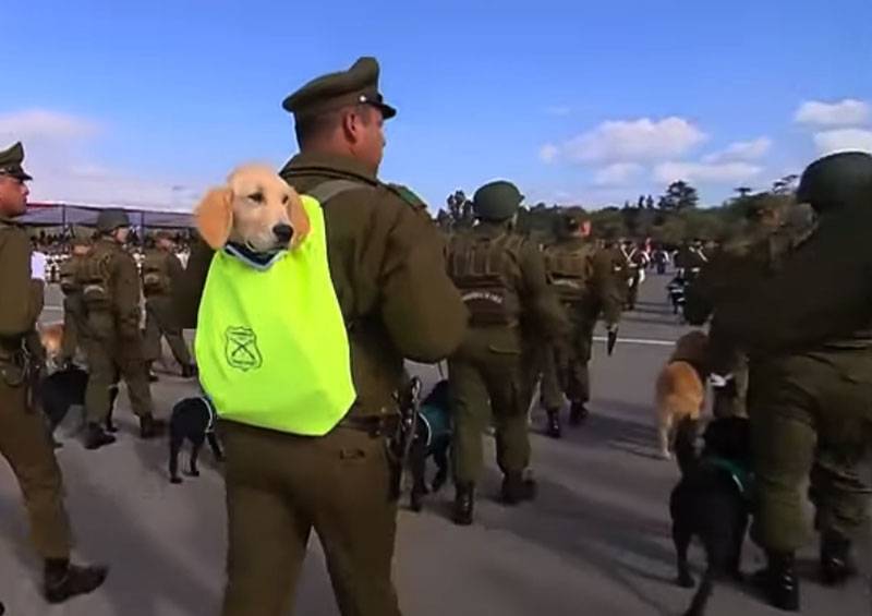 Am Chile ass d ' Parade mat den Welpe an de Rucksak