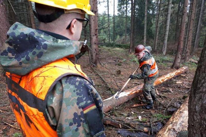 Oddziały bundeswehry przerzucono na walkę z короедом