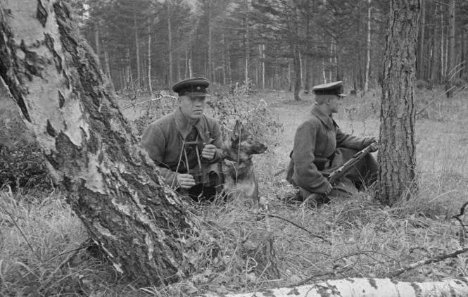 Разведка. Першыя тры месяцы 1941 года
