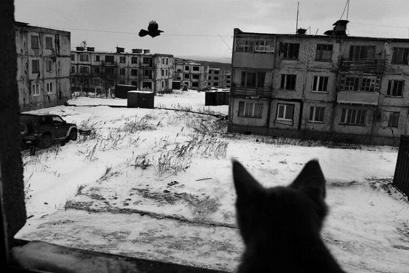 The demographic gap in Russia: how to avoid extinction of the population?
