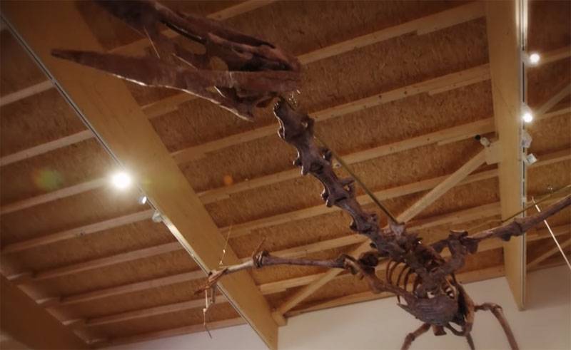 Låt oss tala om vetenskap av hur studien av pterosaurs kan hjälpa flygplan designers