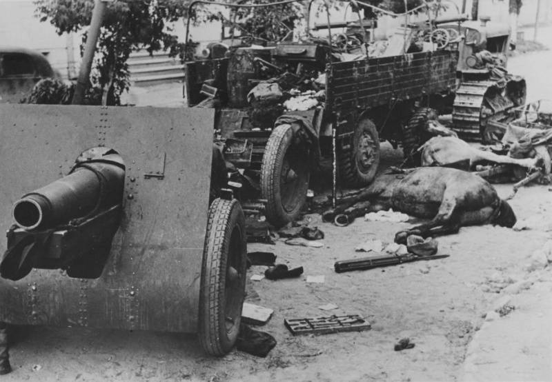 Vermisste. Das Schicksal der Kämpfer 134 gap