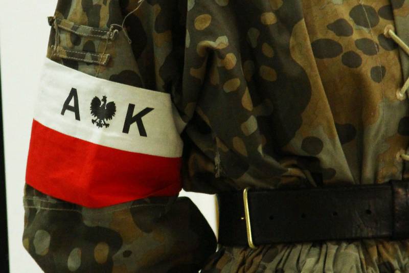 As the Polish home Army tried to stop the Nazis on the Eastern front: history of the Second world