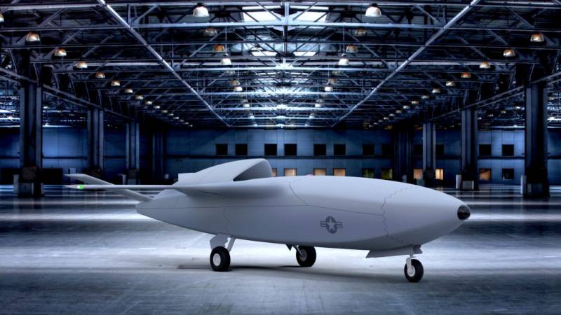 Program AFRL Skyborg: 